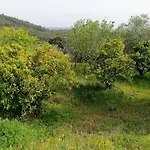 Stunning Views Pool Дом отдыха Томар