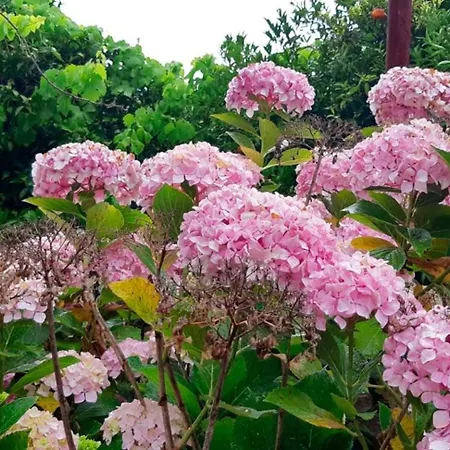 Stunning Views Pool *