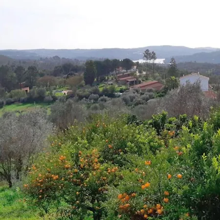 Stunning Hilltop Views - Orchard - Pool - Serenity Tomar