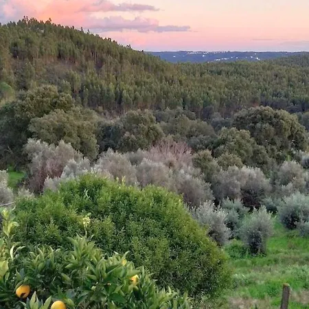 Hébergement de vacances Stunning Hilltop Views - Orchard - Pool - Serenity Tomar