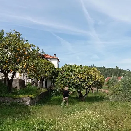 Hébergement de vacances Stunning Hilltop Views - Orchard - Pool - Serenity