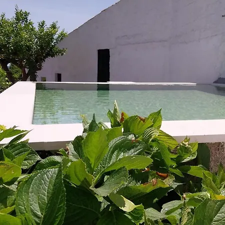 Holiday home Stunning Hilltop Views - Orchard - Pool - Serenity Tomar