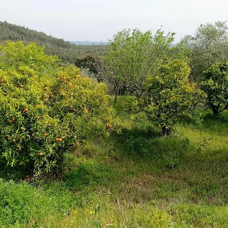 Stunning Views Pool 別荘 トマール