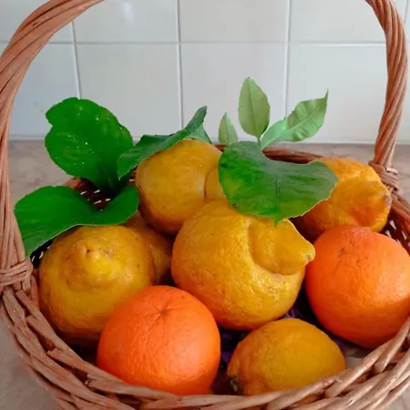 別荘 Stunning Views Pool トマール