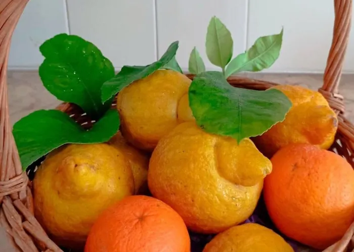 Casa de Férias Stunning Views Pool Tomar