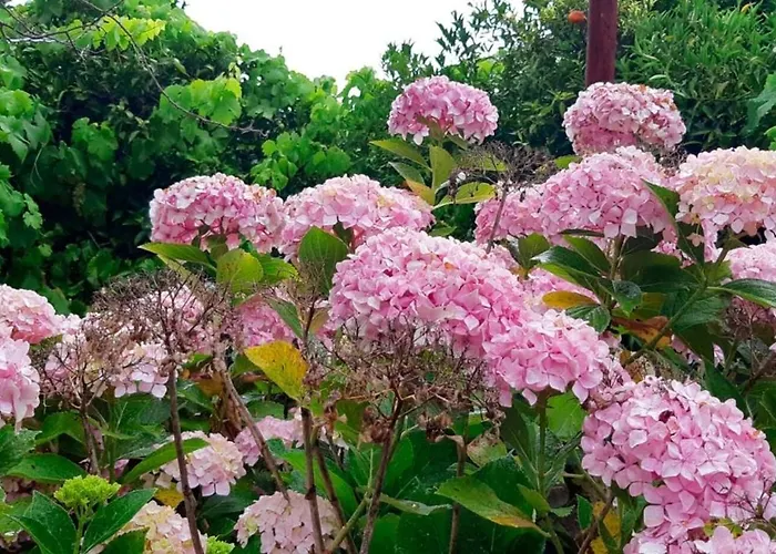 Stunning Views Pool Casa de Férias *